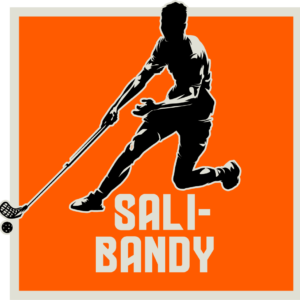 Salibandy