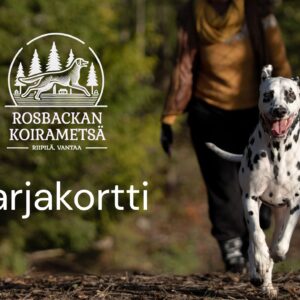Sarjakortti vapaa summa