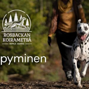 Yöpyminen koirametsässä
