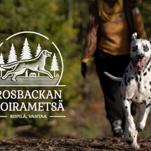 Koirametsä